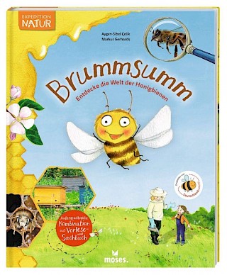 Cover: Brummsumm, Aygen Sibel Çelik, Markus Gerhards