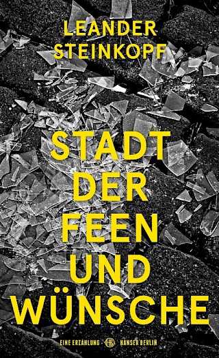 Cover: Stadt der Feen und Wünsche, Leander Steinkopf