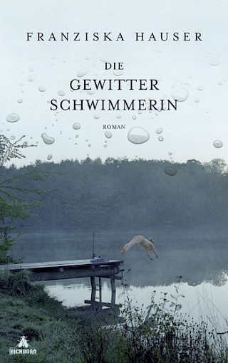 Cover: Die Gewitterschwimmerin, Franziska Hauser